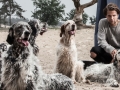 Eller-van-Buuren-dog